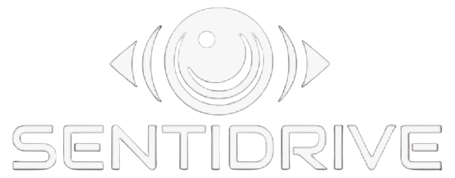 Logo Sentidrive Europe